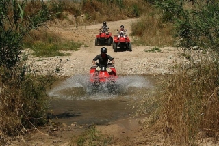  维拉西米乌斯的四人组 